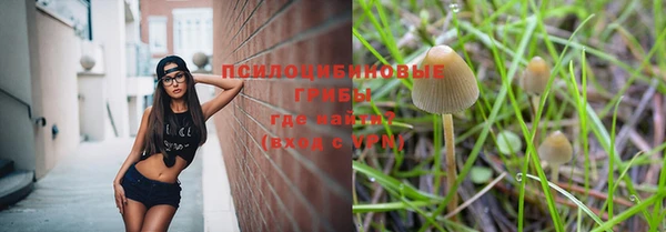 гашик Балахна